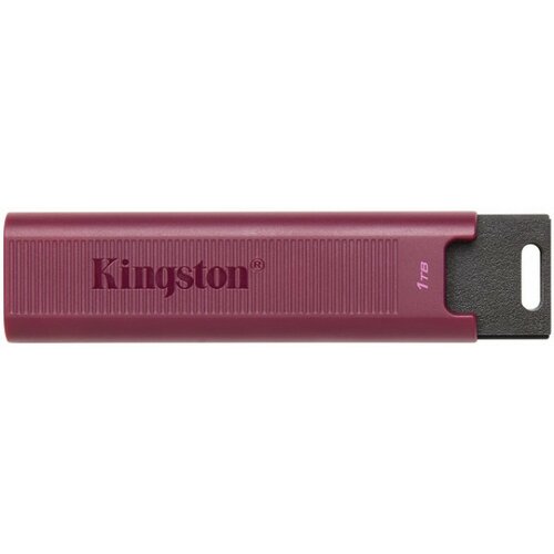 Kingston USB flash DataTraveler Max DTMAXA 1 TB Cene
