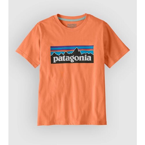 Patagonia P-6 Logo Kids T-shirt peach sherbet Cene