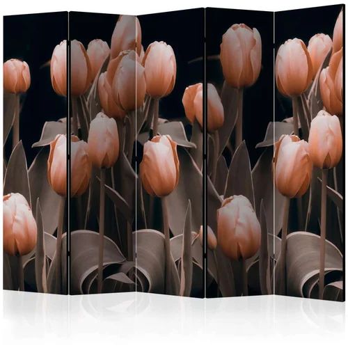  Paravan u 5 dijelova - Ladies among the flowers II [Room Dividers] 225x172