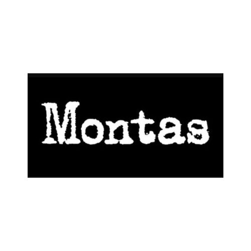  montas (pc) steam key global Cene