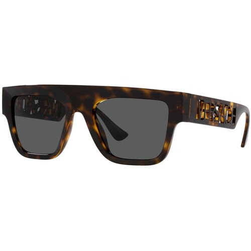 Versace Naočare za sunce VE 4430U 108/87 Cene
