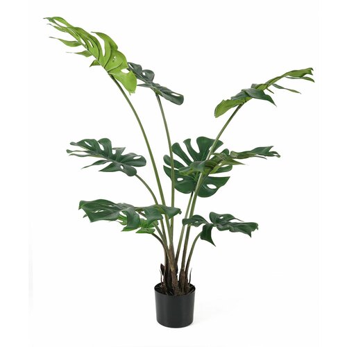 Lilium dekorativni filadendron 125cm 567267 Cene