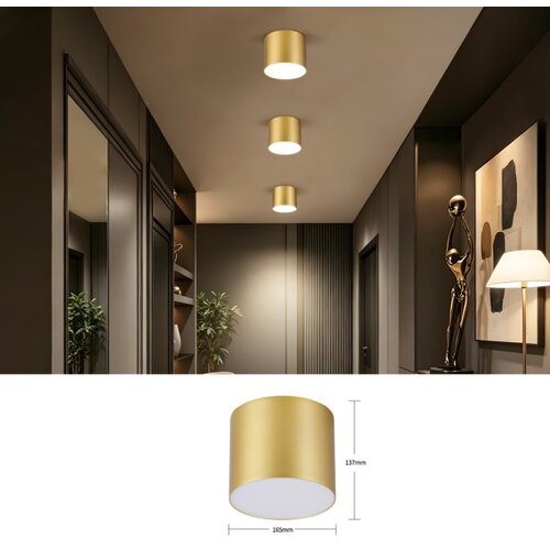  Immax NEO 07318L - LED prigu&amp;scaron;iva stropna lampa RONDATE 32W/230V 16,5 cm Wi-Fi Tuya zlatna Slike