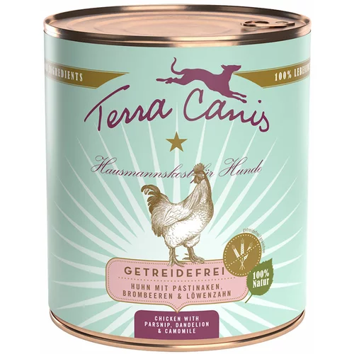 Terra Canis brez žit 6 x 800 g - Piščanec s pastinakom, regratom & kamilico