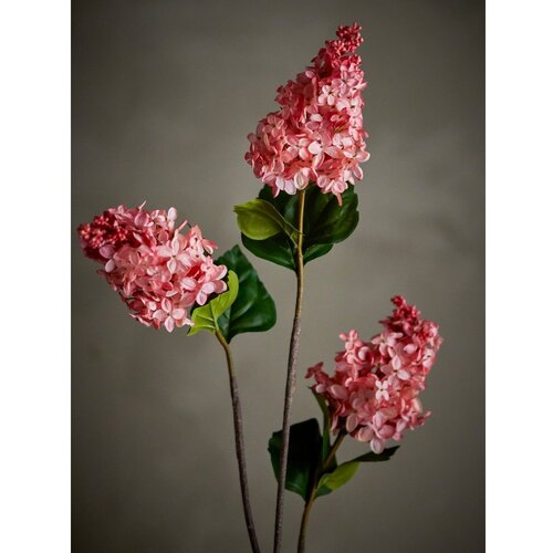 Bloomingville Umjetna biljka (visina 76 cm) Hydrangea &amp;ndash; Slike