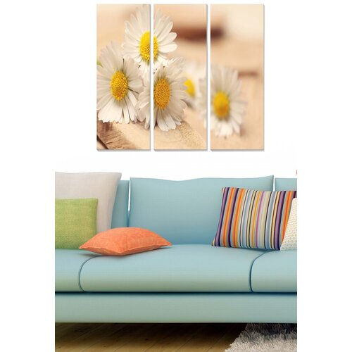 Wallity Set slika MDF2313971, 3 dijela Cene