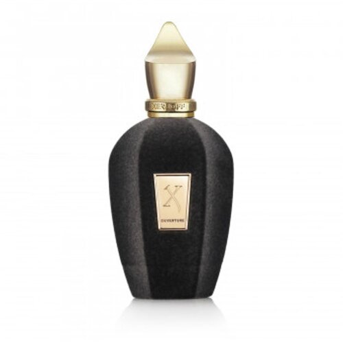 Xerjoff Ouverture Eau De Parfum 100 ml (unisex) Cene