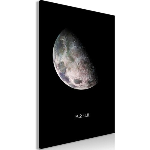  Slika - Moon (1 Part) Vertical 60x90 Cijene