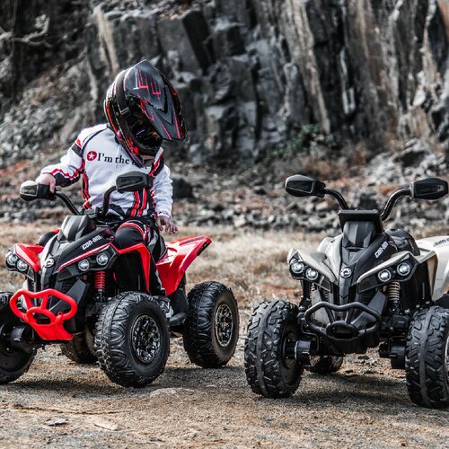Premium Stil Can-Am Renegade ATV Kvad Zeleni 4&amp;times;4 Premium Oprema ( 13052 ) Slike