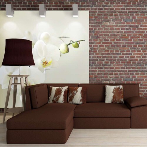  Tapeta - White orchid 350x270 Slike