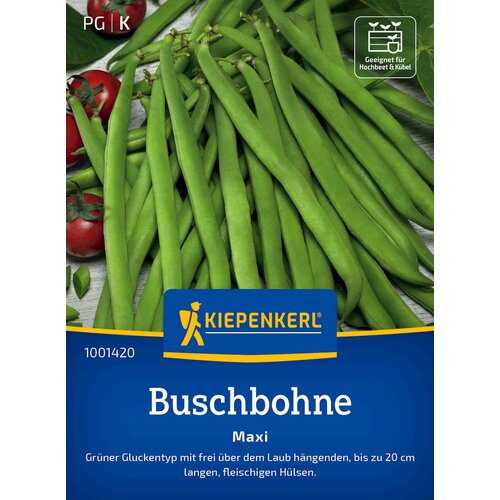 KIEPENKERL Navadni fižol "Maxi" - 1 pkt. Cene