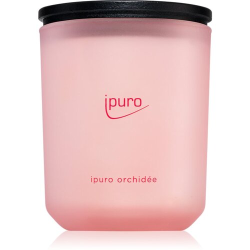 IPURO Classic Orchidée dišeča sveča 270 g Cene