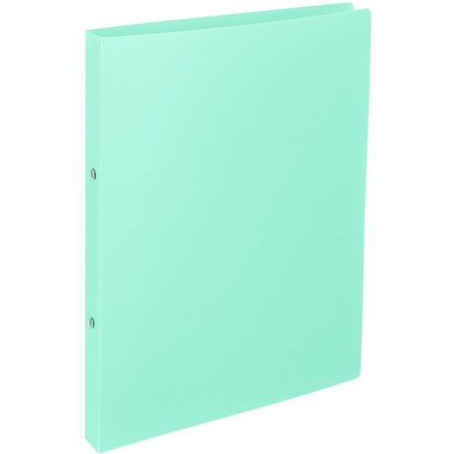 TTO Fascikla PVC 2-Ring A4 PasZe Slike