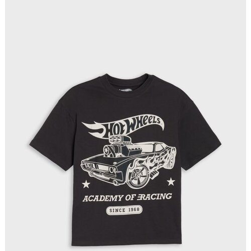 Sinsay Pamučna majica s printom Hot Wheels Cijene