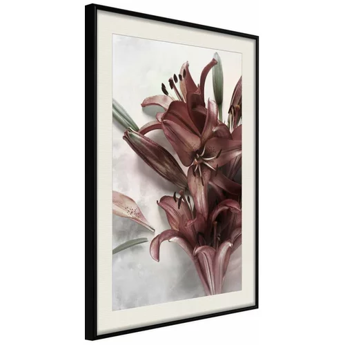  Poster - Burgundy Solace 20x30