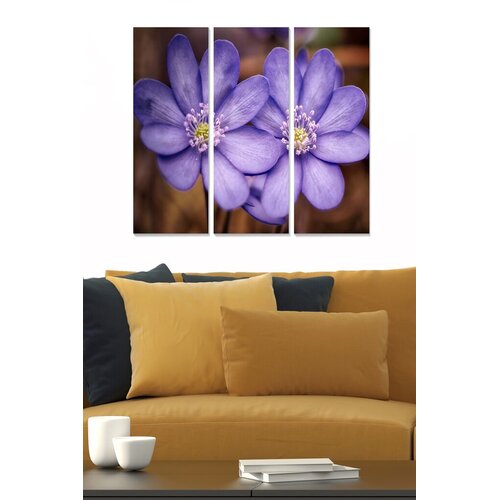 Wallity Set slika MDF3204965, 3 dijela Cijene