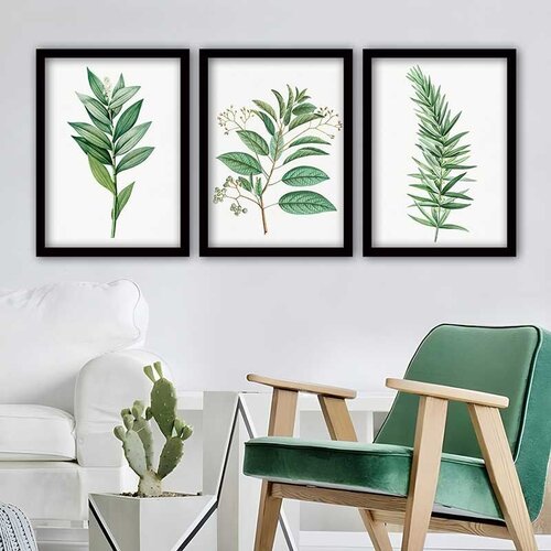 Wallity Set uramljenih slika 3SC_501923, 3 Dela Cene