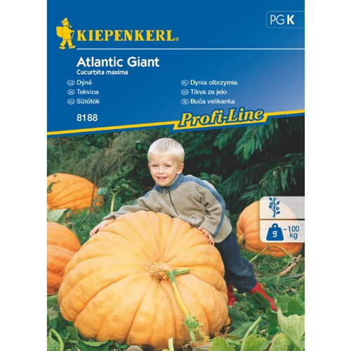 KIEPENKERL Sjeme povrća bundeva Atlantic Giant (Cucurbita maxima, Vrijeme sjetve: Travanj) Cijene