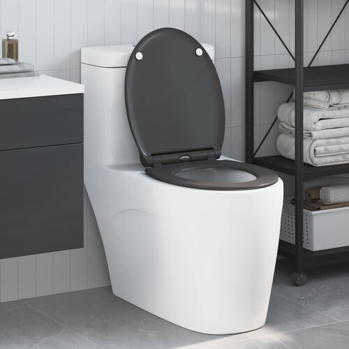  WC daska Antracit 47 x 37,5 x 3,8 cm Duroplast Cijene