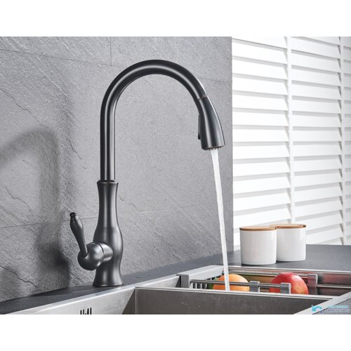  Elegantna izvlačna slavina | &amp;Scaron;pina EYN KZI5517 - ORB Crna Slike