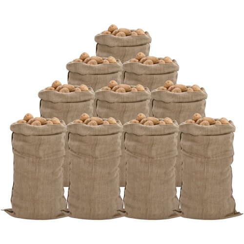 vidaXL Jutene vreće 10 kom 65 x 135 cm 100 % juta 340 g/m² Cijene