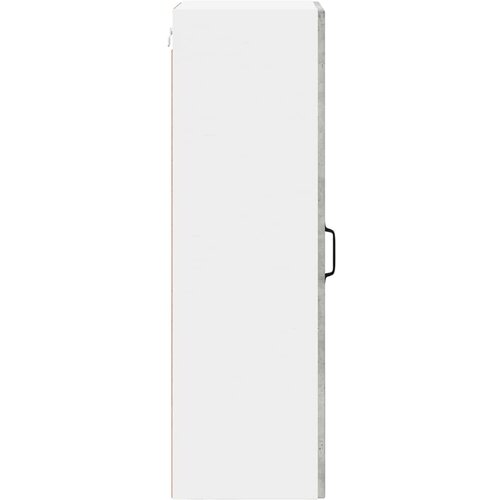  Zidni stakleni ormarić Lucca Betonska siva 40 x 31 x 100 cm Slike