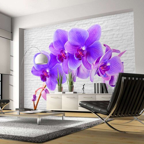  Tapeta - Violet excitation 150x105 Slike