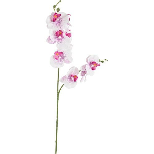  Rezano cvijeće grana orhideja, 90 cm Cijene
