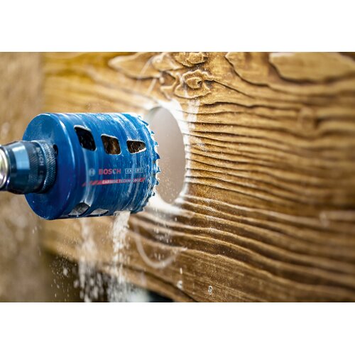 Bosch EXPERT VRTNA ŽAGA IZ KARBIDNE MATERIAL 51MM, (21253418) Cene