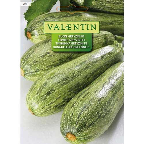 VALENTIN Sjeme povrća Tikvice Greyzini (Cucurbita pepo L., Berba: Srpanj) Cijene