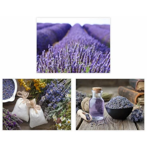 Casa Selección Slike v kompletu 3 ks 30x40 cm Lavender – Casa Selección