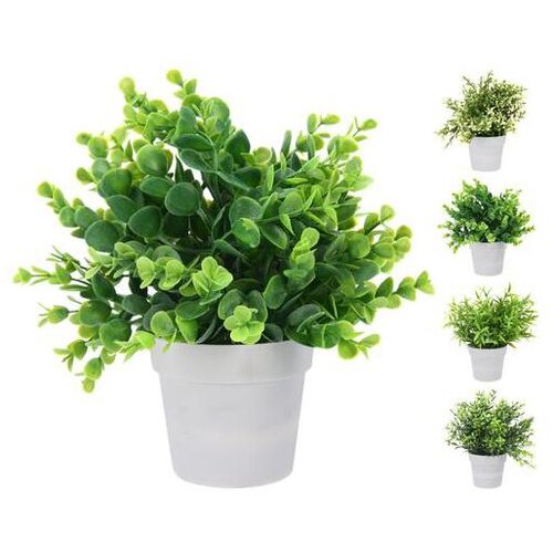  CVIJEĆE U SAKSIJI 24CM Cijene