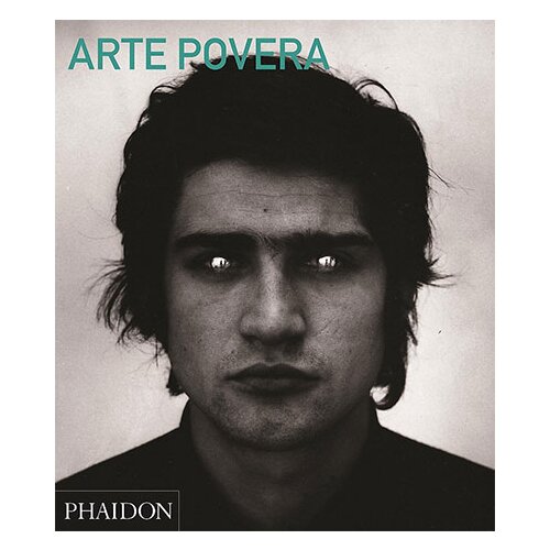 Phaidon Carolyn Christov-Bakargiev, Rebecca Morrill - Arte Povera (Abridged Edition) Cene