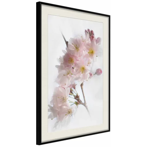  Poster - Scent of Spring 20x30