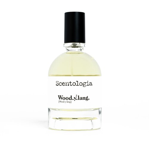  Wood.y2.lang. Eau de Parfum 100ml Slike