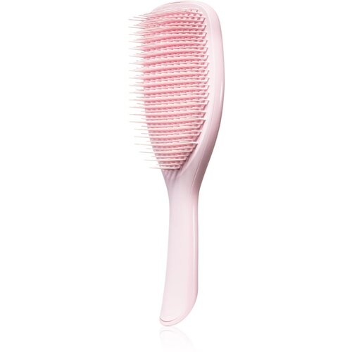 Tangle Teezer wet detangler mini mala četka za kosu s ergonomskom ručkom 1 kom nijansa sea green Cijene