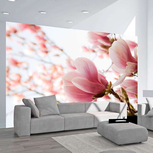  Tapeta - Pink magnolia 250x193 Slike