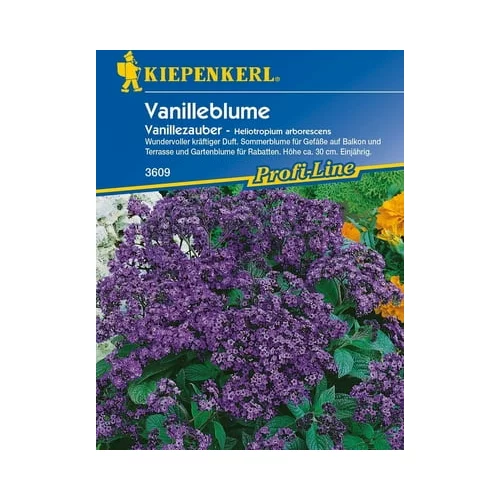 KIEPENKERL Vanilijeva cvetlica "vanilijeva čarobnost"