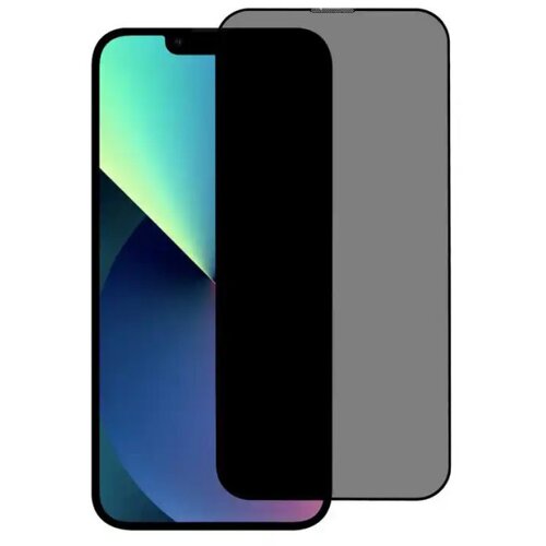Apple MSGP--15 Plus * Privacy Glass full cover,full glue, zastitno staklo za 15 Plus (239.) Cene