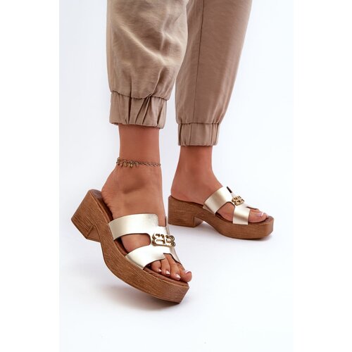 Kesi Zazoo Elegant leather women's slippers with gold embellishment Cijene