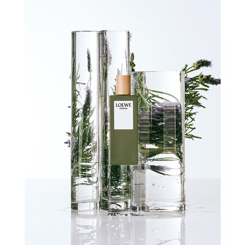 Loewe Esencia toaletna voda za mu&amp;scaron;karce 150 ml Slike