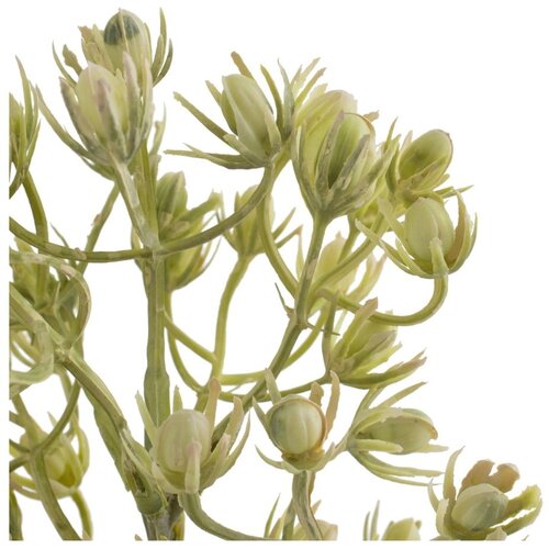Ixia Umjetna grančica (visina 55 cm) &amp;ndash; Slike