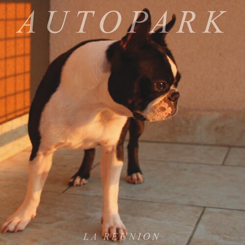  AUTOPARK - LA REUNION Cene