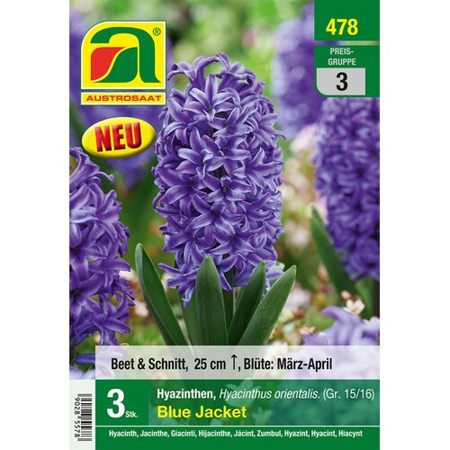 AUSTROSAAT Hijacinte "Blue Jacket", modre, vel. 15/16 - 3 k. Cene
