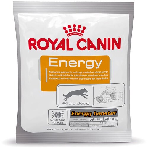 Royal Canin Energy - Varčno pakiranje: 10 x 50 g Cijene