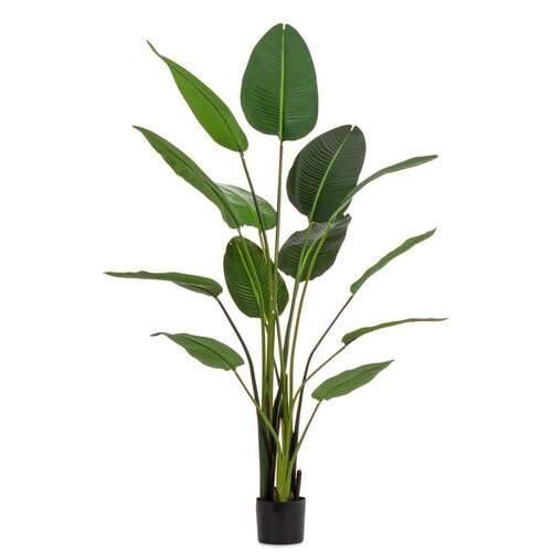 BIZZOTTO Umjetna biljka (visina 185 cm) Sterilizia &ndash; Cijene