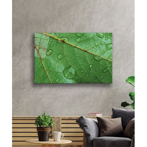 Wallity Slika 221JRS1343, 46x72 cm Cene