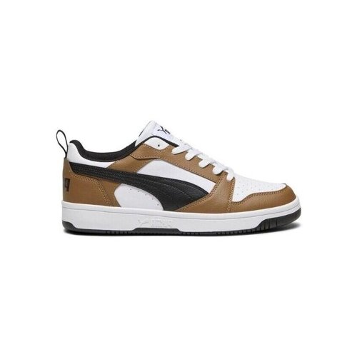 Puma - Smeđa Slike