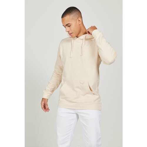 ALTINYILDIZ CLASSICS Men's Beige 100% Cotton Standard Fit Regular Fit Hooded Long Sleeve Sweatshirt Slike