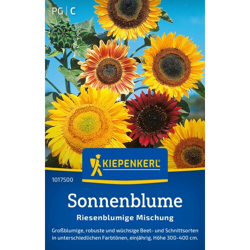 KIEPENKERL Sončnica "mešanica velikih rož" - 1 pkt. Cene